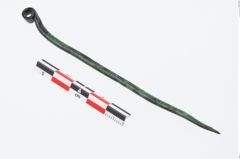 Foto von Bronzerollenkopfnadel (NHMW-PRAE-026504)